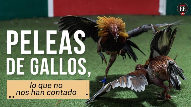 Normativas sobre la venta de tabaco en San Isidro