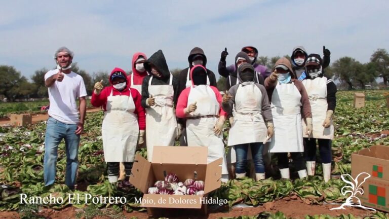 Guía para encontrar tiendas de productos orgánicos en Dolores