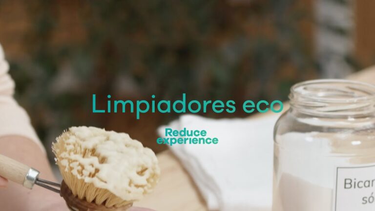 Guía para encontrar productos veganos para mascotas en Cox