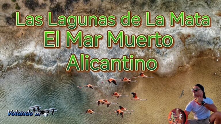 Calidad del Aire en Callosa de Segura: Un An&aacute;lisis Actualizado