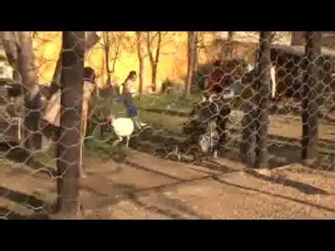 Zonas de Picnic M&aacute;s Populares en San Isidro
