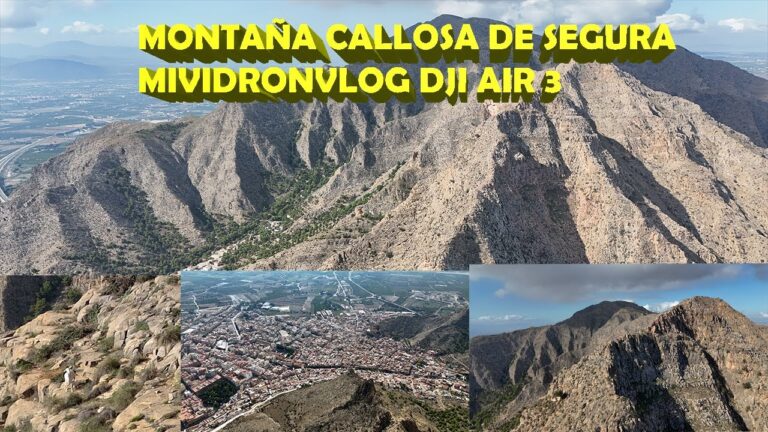 Mejores lugares para practicar remo cerca de Callosa de Segura