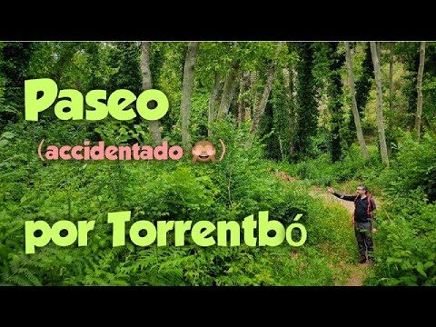 Rutas de Senderismo Cerca de Dolores
