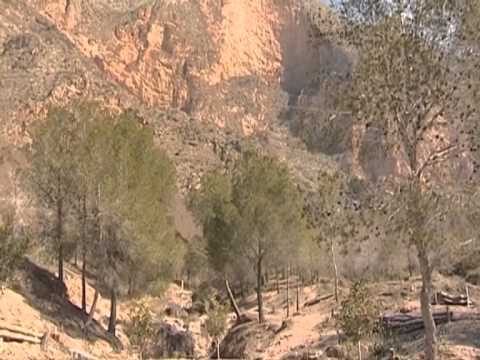 Las Mejores Rutas de Senderismo en Redován